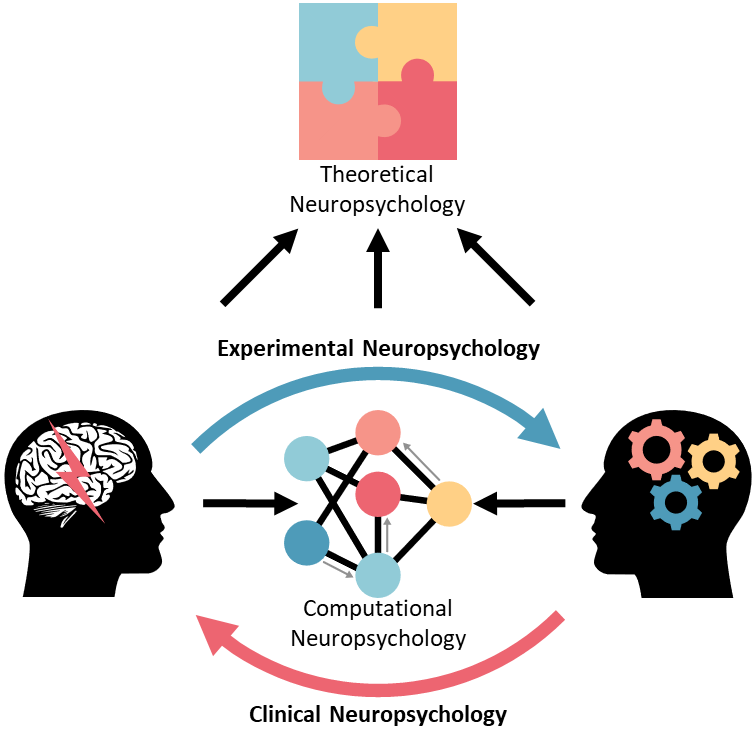 Structure of neuropsychology