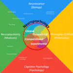 What is neuropsychology?