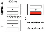 The protective role of long-term meditation on the decline of the executive component of attention in aging: a preliminary cross-sectional study