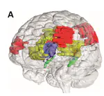 Meditation and successful aging: can meditative practices counteract age-related cognitive decline?